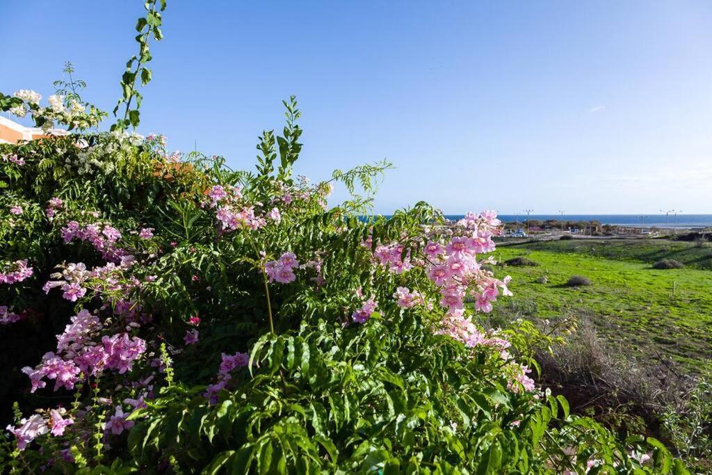 Tejita Beach La Tejita 外观 照片